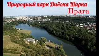 Природный парк-заповедник Дивока Шарка. Прага.
