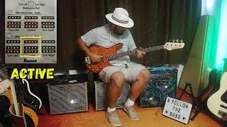 Ibanez RD600/Hartke HD500