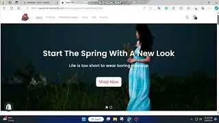 Shopify Store Development with PageFly Product Listing and Shopify App Install or Configuration