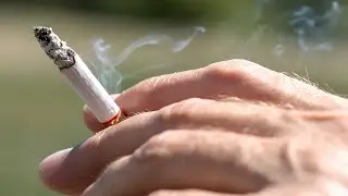 Calls for the government to &lsquo;tackle the excise tax&rsquo; on tobacco products