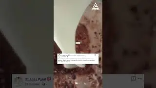 Naturaltein Reviews | Awesome | Keep Supporting Us.