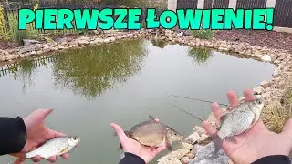 PIERWSZE ŁOWIENIE W MOIM STAWIE! epickie ryby | łowienie w oczku wodnym | life fishing wędkarstwo