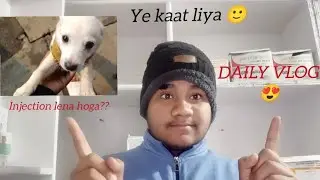 Aaj ka din bas ghoomte ghoomte nikal gaya 😊