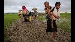 Who are the persecuted Rohingya Muslims?