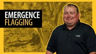 How To: Corn Emergence Flagging