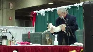 Le Noel des Chats CCA Cat Show Montreal QC 27 29 Nov 2009