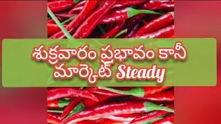 Guntur mirchi market rate today | 06-09-2024
