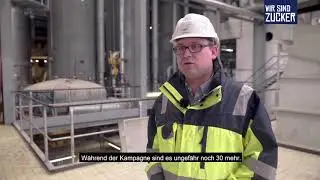 Die Vorteile des regionalen Zuckerr&uuml;benanbaus f&uuml;r Mensch und Umwelt #WirSindZucker