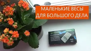 ТЕСТИРУЮ ЮВЕЛИРНЫЕ ВЕСЫ В ДОМАШНИХ УСЛОВИЯХ ...