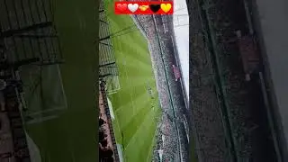 Deutscher Meister wird nur der BVB🤝 #fu&szlig;ball #stadion #effzeh #fans #bundesliga #ultras