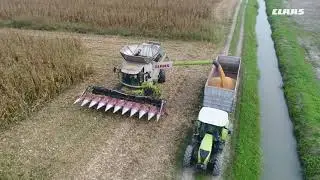 CLAAS In Campo 2018: LEXION 780 TT BORTOLIN MIX