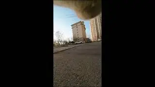 🐱 7. LIVE: First-Person Simba Cat Adventure - #shorts #CatPOV 2026-01-16 14:41:12