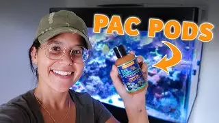 The BEST Reef Food to EVER EXIST!!