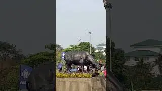 Rally bawal sa Quirino granstand ginanap sa Rizal Monument