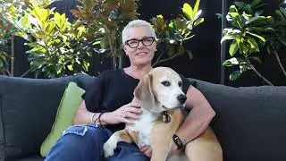 Re home Ex Lab Animals Australia NZAVS x BFA