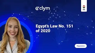 Egypt Data Privacy Law Explained: Your Quick Guide to Law No. 151 of 2020
