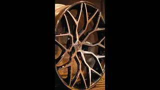 New Amani Forged Wheel: Mira