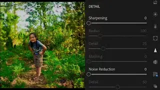 Natural Green Tone lightroom | Natural green tone photo editing
