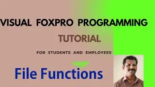 File Functions in Visual FoxPro Programming explained.