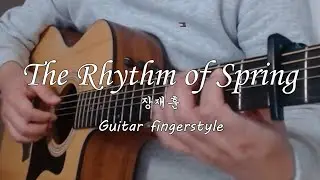 The Rhythm of Spring | 장재훈 | Guitar fingerstyle | 연습곡