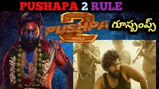 PUSHAPA 2 RULE  TRAILER TROLL ||WHERE IS PUSHAPA || MR NOOB TROLLING