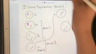 Expanding the Gene Pool