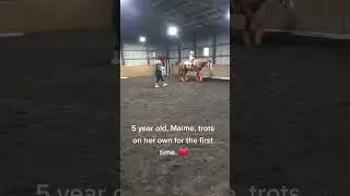 Dragonfire Dancing Horses - 5 year old Maime Trots for the First Time