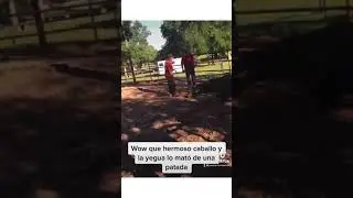 Wow que hermoso caballo y la yegua lo mat&oacute; de una patada #caballo #semental #yegua #horse #patada #1