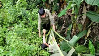 Homeless Boy Harvests Bananas To Sell And Takes Care Of Abandoned Little Sister