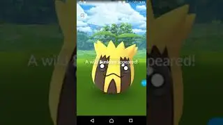 THE SHINY RAGE IS REAL?!!!!!