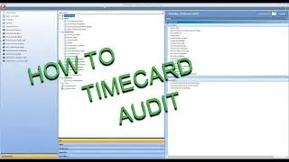 How To M1 Timecard Audit