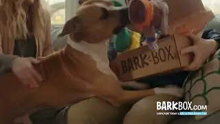 BarkBox TV Commercial