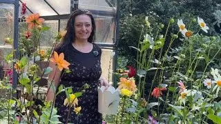 Will FLOWER Arrangements Inspire My Dream Garden Next Year?