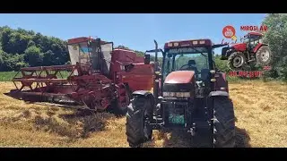 Žetva p&scaron;enice sa kombajnom Zmaj D3800 i vuča sa CASE MX 100C