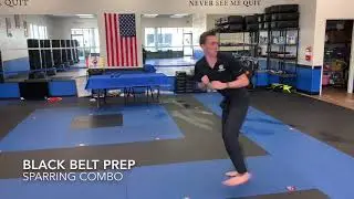 BBP SPARRING COMBO