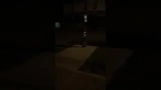 Clown sighting in Ulster county NY tried to get a close up without him chasing me