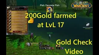 Gold Check After Easy Gold Guide (Level 20) | WoW Classic Anniversary