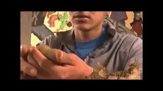 EL INTERIOR DE UNA CARCEL DE MENORES