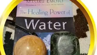 🌿🌬️🍀