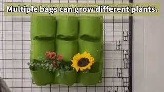 Vertical plant wall planting bag