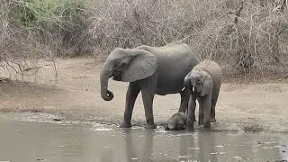 Couch Safari in Simbabwe - &copy; Abendsonne Afrika