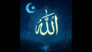 13 November 2025