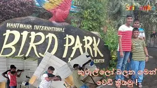 කුරුල්ලෝ බලමු | වෙඩි තියමු | හන්තාන කුරුළු උද්‍යානය | Bird Park Hanthana