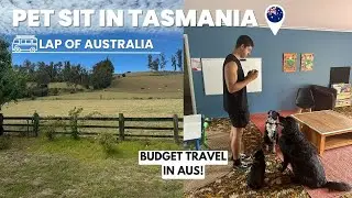 Our BIGGEST Australia Budget Travel Tip! | Pet Sitting On A Farm In Tasmania