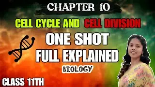  PART 2 Full Chapter in One Shot 💥 | Cell Cycle & Cell Division Class 11