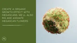 028 - Tennis Ball Growth Teaser