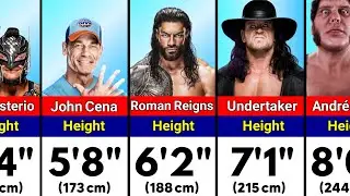 Shocking Height of WWE Wrestlers in 2025