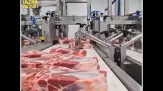 USA  MEAT FACTORY 