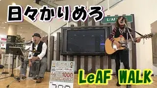 日々かりめろ／リーフウォーク稲沢（1部）2019年2月8日13時～