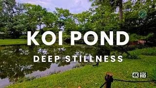90+ Mins at the Japanese Garden, Houston | Koi Pond, Water Sounds, Morning Light [4K]